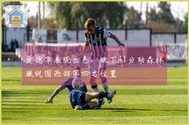 爱德华表现出色，砍下41分助森林狼巩固西部第四名位置