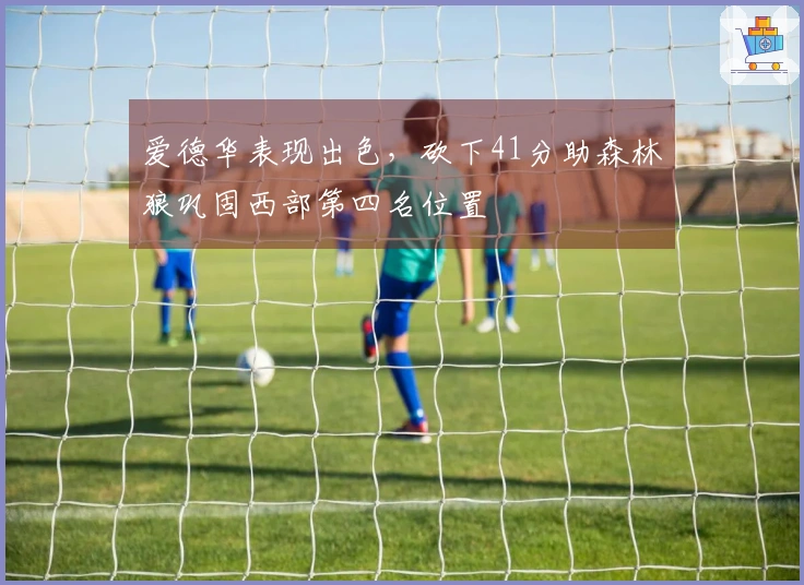 爱德华表现出色，砍下41分助森林狼巩固西部第四名位置